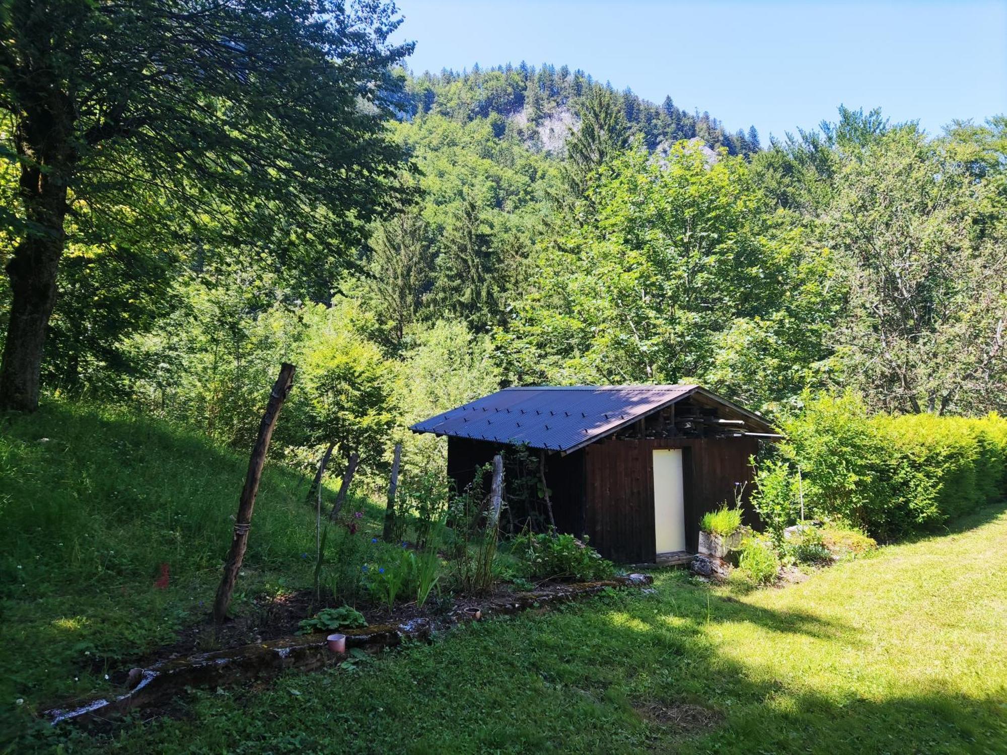 Baerschwendi *