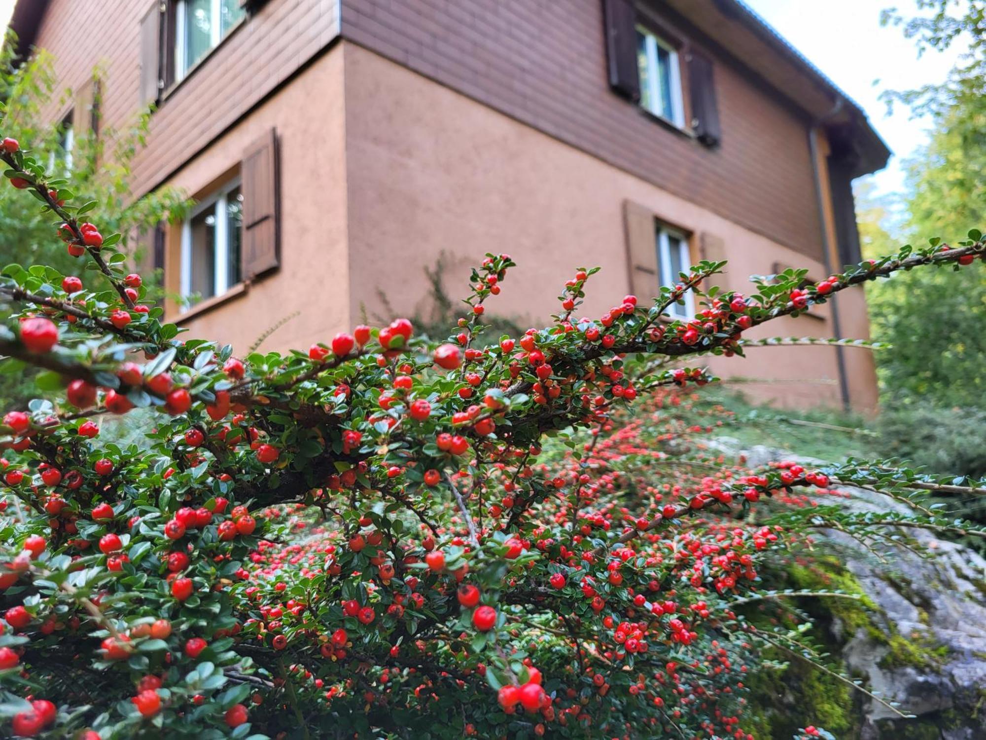 Baerschwendi Apartmán Lungern