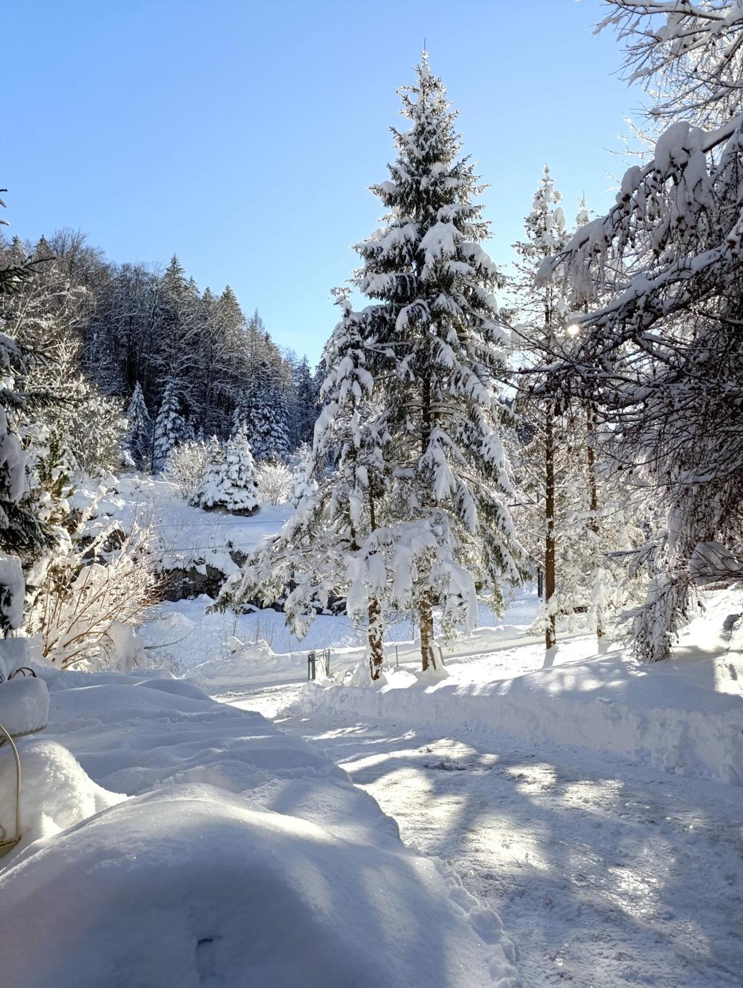 Baerschwendi Apartamento
